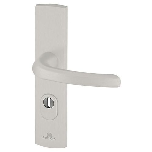 Ensemble poignée de porte blindée sur plaque standard eMUST Bricard entraxe 195mm brossé argent