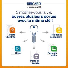 2 Cylindres débrayables Bricard 30x70/30x30 mm avec 6 clés