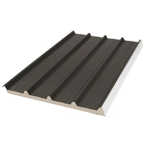 Panneau sandwich Bac Acier 300 x 100 cm