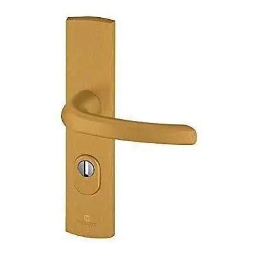 Ensemble poignée de porte blindée sur plaque standard eMUST Bricard entraxe 195mm brossé or