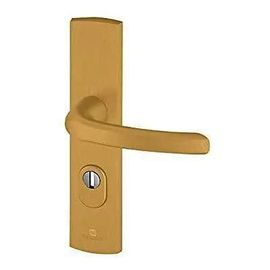 Ensemble poignée de porte blindée sur plaque standard eMUST Bricard entraxe 195mm brossé or