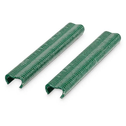 Boîte 1250 agrafes Blooma vertes 16 mm