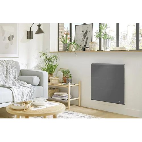 Radiateur électrique double coeur de chauffe Noirot Radiasoft gris 1000 W