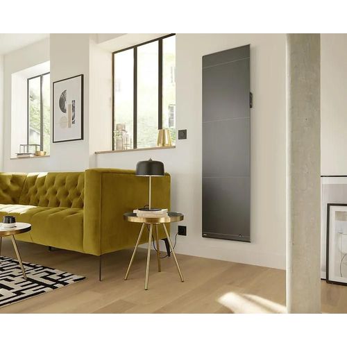 Radiateur électrique double coeur de chauffe Noirot Radiasoft gris 1000 W vertical