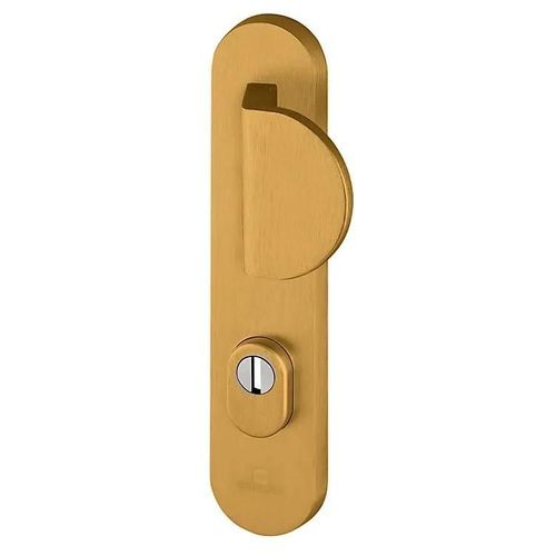 Ensemble poignée de porte aileron blindée sur plaque standard eSSENTIAL Bricard entraxe 195mm brossé or