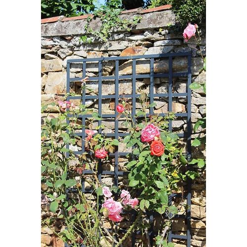 Treillis Carré En Pin Anthracite 100 X H.197 Cm