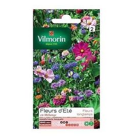 Graines Jolies Fleurs D'été Vilmorin