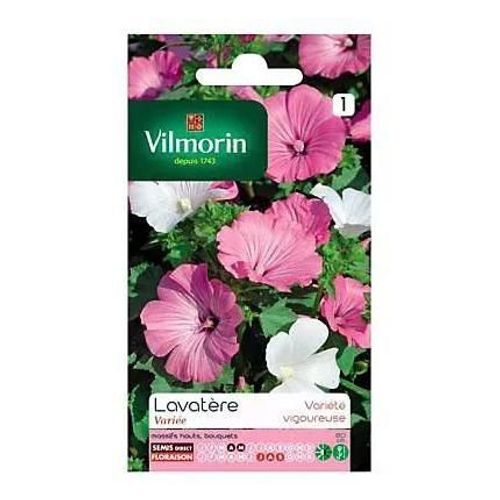 Graines De Lavatère Grande Fleur Variée
