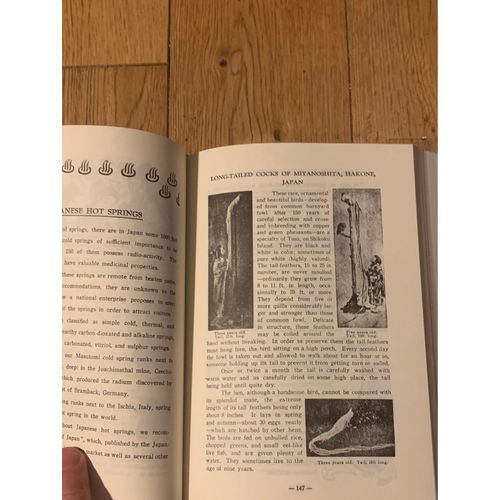 Wee Japanesse Livre