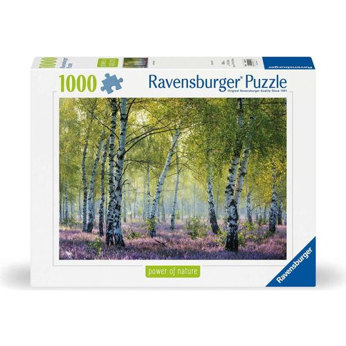 Puzzle 1000 Pièces Forêt De Bouleaux