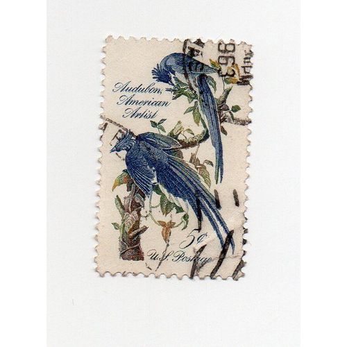 U.S.A- 1 Timbre Oblitéré- Audubon- Oiseaux