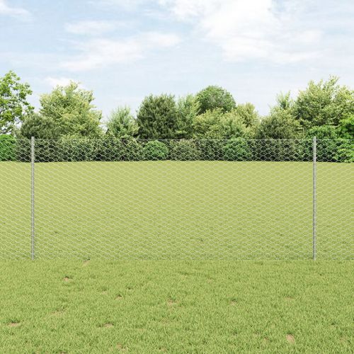 Vidaxl Clôture Hexagonale Avec 22 Poteaux U Argent 1x25 M Acier