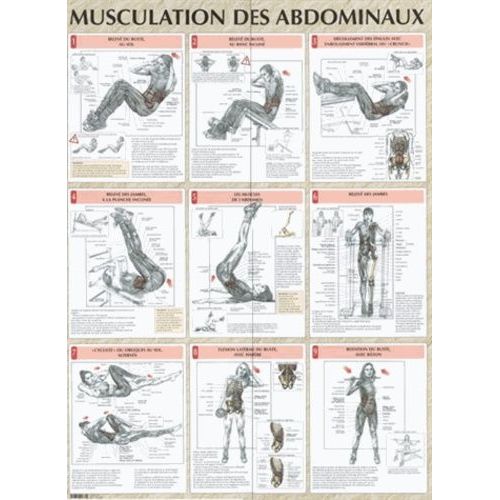 Musculation Des Abdominaux - Poster