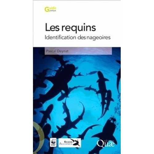 Les Requins - Identification Des Nageoires