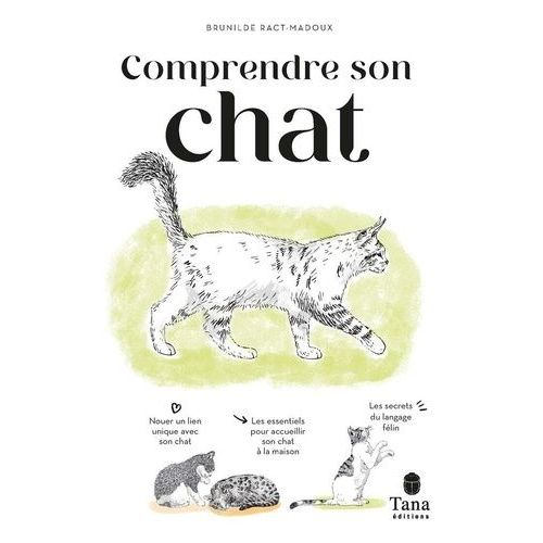 Communiquer Avec Son Chat