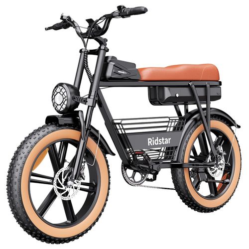Ridstar Cr20 Vélo Électrique, Moteur 1000 W, Batterie 48 V 20 Ah, Pneus Larges 20 X 4 Pouces, Vitesse Maximale 48 Km/H, Autonomie Maximale 70 Km