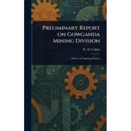 Preliminary Report On Gowganda Mining Division