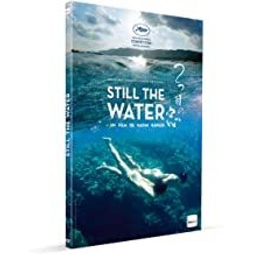 23 Dvd Films Japonais : Still The Water, Hospitalité, Plan 75, Le Mal N'Existe Pas, Snow In Spring, Combat Sans Code D'Honneur, L' Empire De La Passion, La Cérémonie, L' Innocence, I Wish, Tel Père...