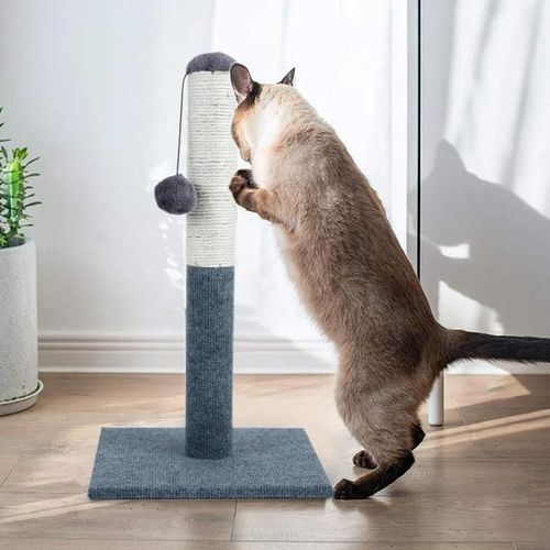 Chat Arbre Grimpant Griffoir Jouets Avec Corde De Sisal Nouveau