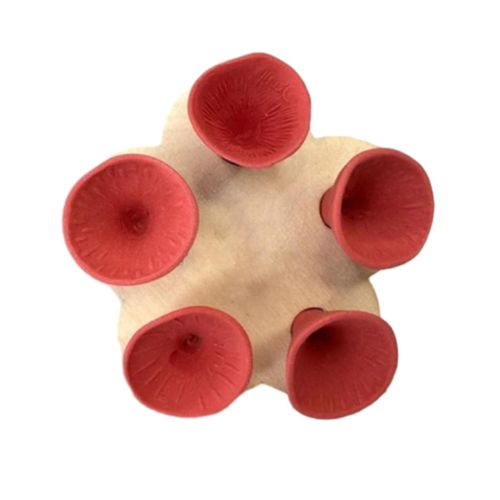 Bees Bugs Drinking Cup Set Pour Extérieur Réutilisable Abeilles Mangeoire D'eau Tasse Pour Jardins D'arrière-Cour Rouge