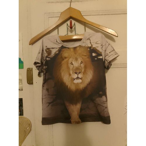 Tee-Shirt Motif Lion Marron/Beige 5 Ans.