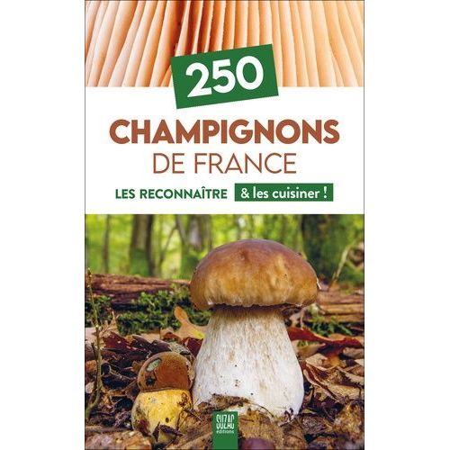 250 Champignons De France - Les Reconnaître & Les Cuisiner !