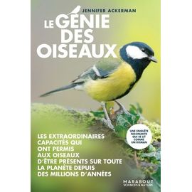 Le Génie Des Oiseaux