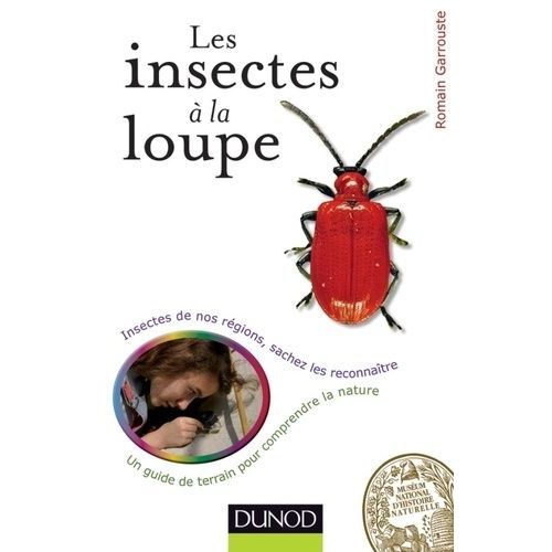 Les Insectes À La Loupe