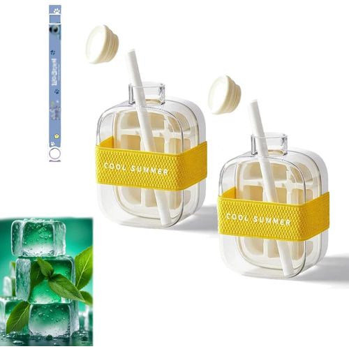 Bouteille De Glace Cool Summer, Bouteille À Glaçons Avec Paille, Bac À Glaçons 2 En 1 Avec Couvercle Et Bac, Libération De La Glace En Une Seule Touche Sans Contact (Blanc X 2, 500 Ml)