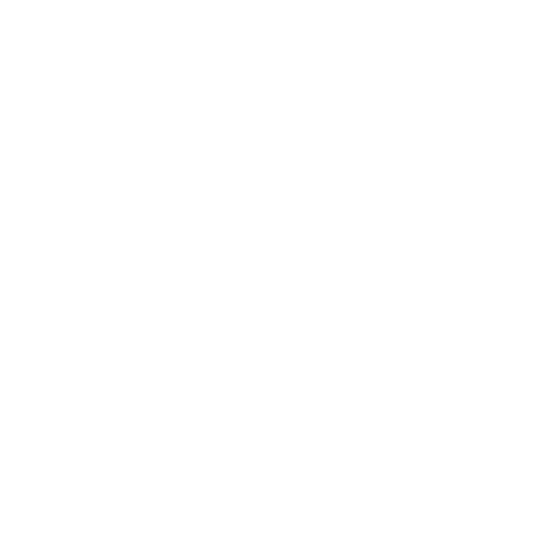 Peinture plafonds - Blanc mat - Sans trace - RIPOLIN - 2.5L