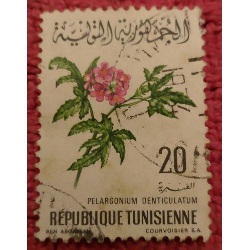 Timbre Oblitéré République Tunisienne 20 Perlagonium Denticulatum.