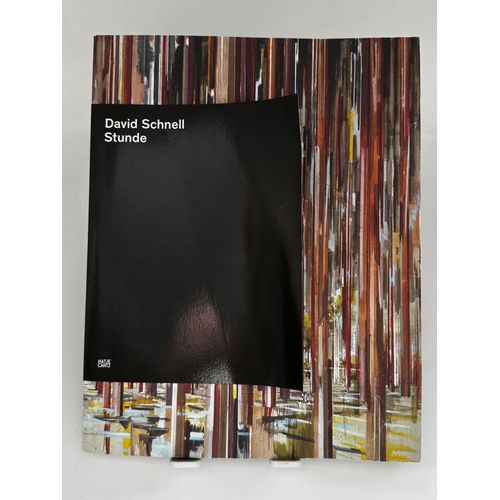 David Schnell ; Stunde Hannover Kunstverein