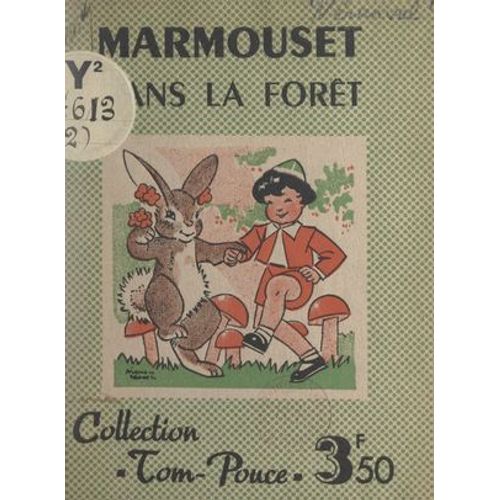 Marmouset Dans La Forêt