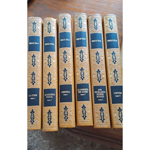 Lot 6 Livres Emile Zola