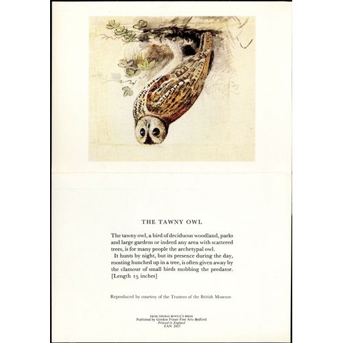 Carte De Collection Double The Tawny Owl