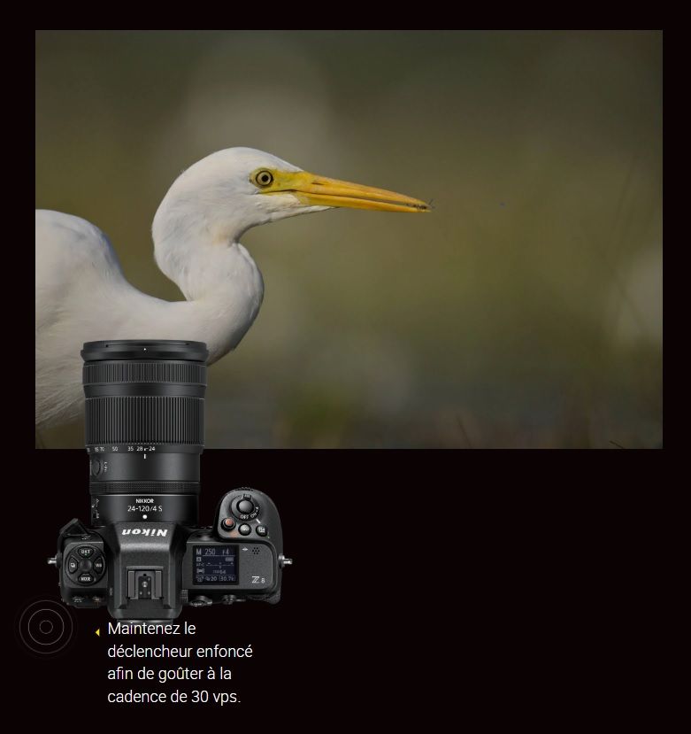 null image 4 | Rakuten