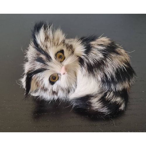 Petit chaton couché