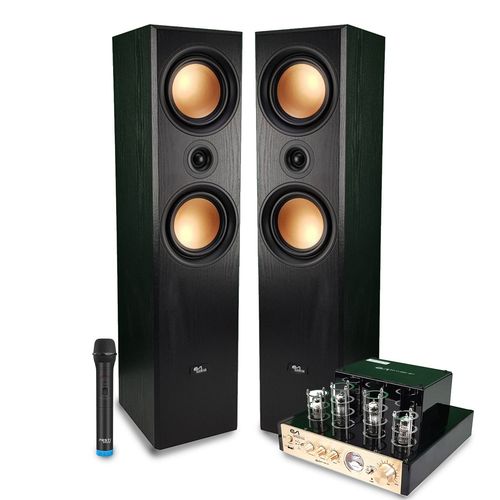 Pack Home-Cinéma 2.0 Evidence Acoustics Hifi - 2x500W PMPO, Amplificateur à tube, EA-50TUBE-BT stéréo Vintage, Micro VHF