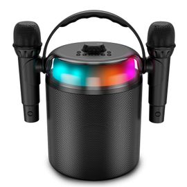 Enceinte Autonome Ledwood PLAYKARAOKE 120W, LED RVB, Bluetooth USB, 2 Micros sans fil, Effets Vocaux, Compatible TV Connectée