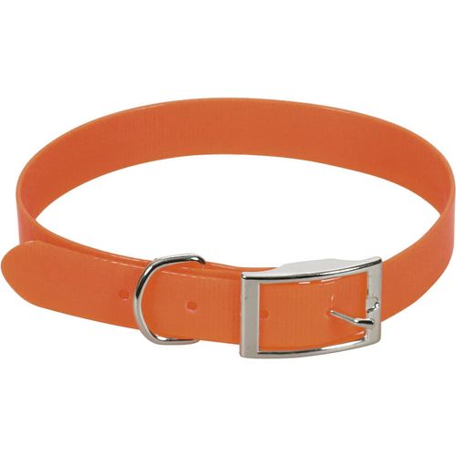 Shiba-Collier Pour Chien Sangle Fluo Pvc Orange Largeur 15 Mm, Longueur 35 Cm, Taille S[3734]