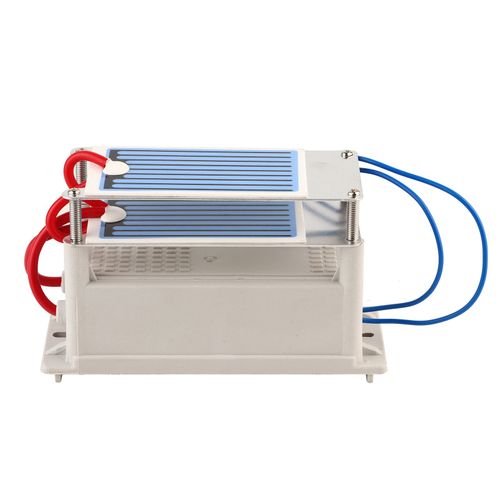 Générateur d'ozone portable 7 g/h avec plaque en céramique à double feuille stérilisée à l'air (110 V)