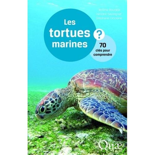 Les Tortues Marines - 70 Clés Pour Comprendre