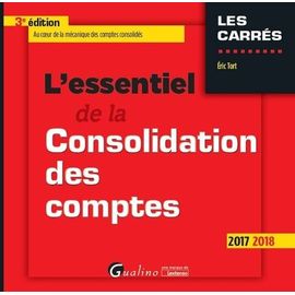 L'essentiel De La Consolidation Des Comptes