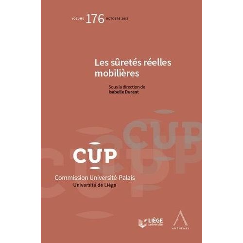 Les Sûretés Réelles Mobilières