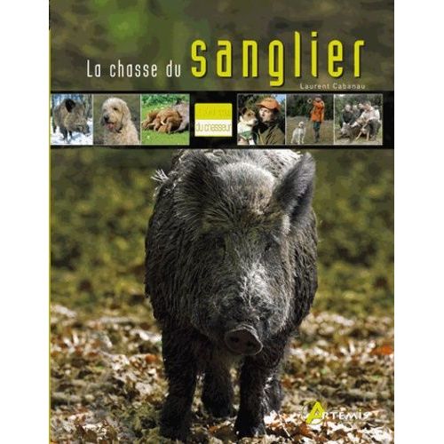 La Chasse Du Sanglier