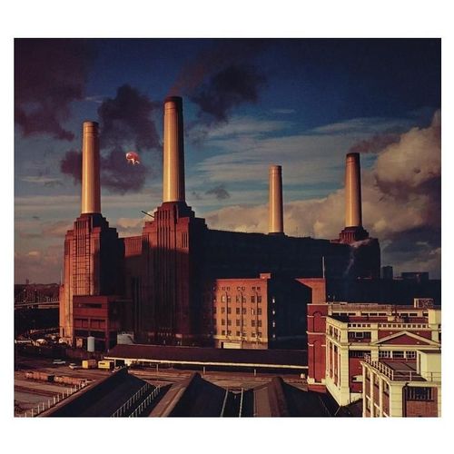 Animals - Cd Album