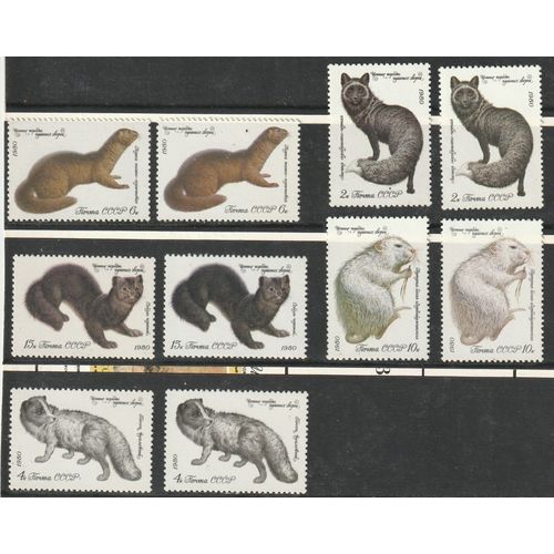 Faune, Animaux À Fourrure 1980 Urss