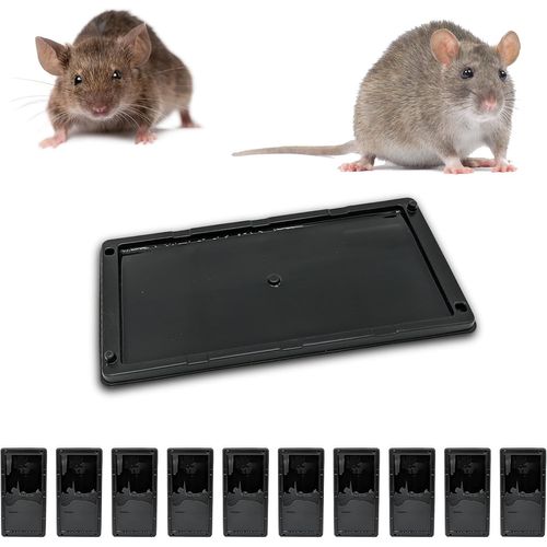 Piege a Souris Piege a Rat Colle, Plaques de Glue Anti Rongeur, Alternative Tapette Raticide Souricide [Glu Extra Forte Aromatisee] (10 Plaques Collantes)