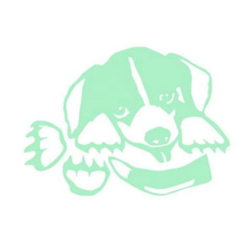 Stickers muraux Veilleuses Décorations pour chiots délicatement sculptées Accessoires d'interrupteur