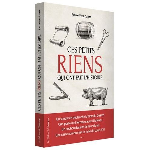 Ces Petits Riens Qui Ont Fait L'histoire De France - Hasards, Coïncidences Et Malchances, De Jules César À Charles De Gaulle